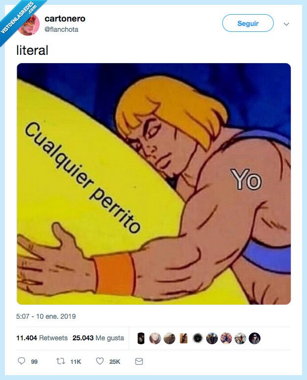 meme,representar,cualquier perro