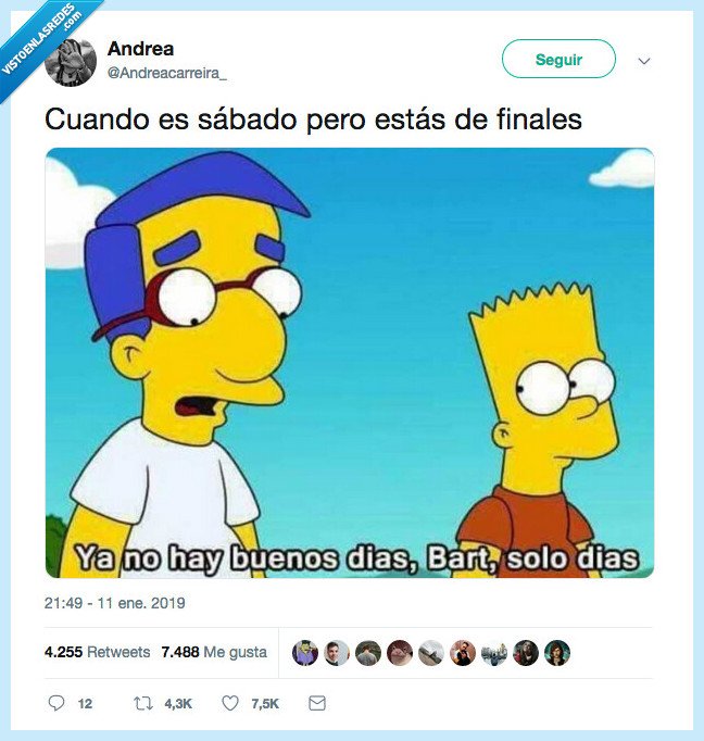 vivio,día,epoca exámenes