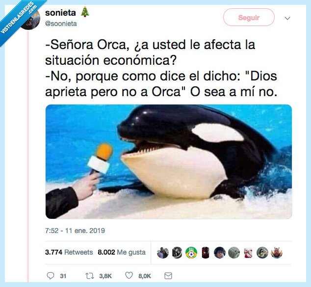 orca,meme,bueno no lo sigiente