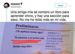 Enlace a Se compra un libro de chino y enseña las frases que le recomiendapara chuscar, por @redderalbert