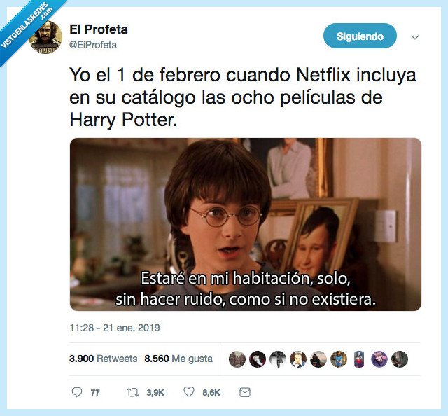 el profeta,harrypotter,netflix,adios