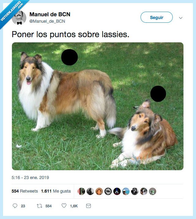 sorrynotsorry,risa,lassies,ies