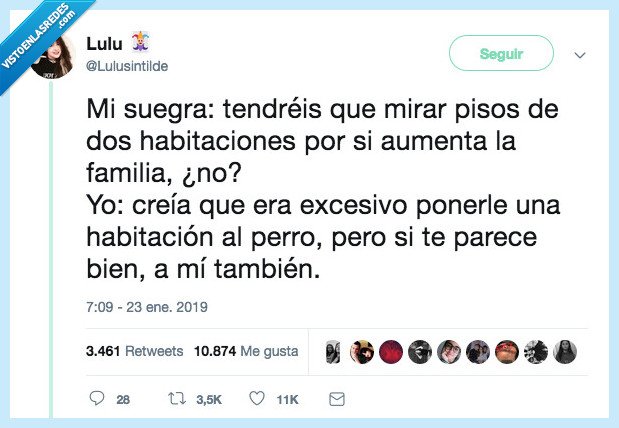 perri,perro,tener,cuarto