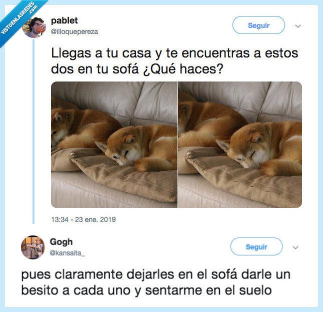 molestar,pensar,sofá