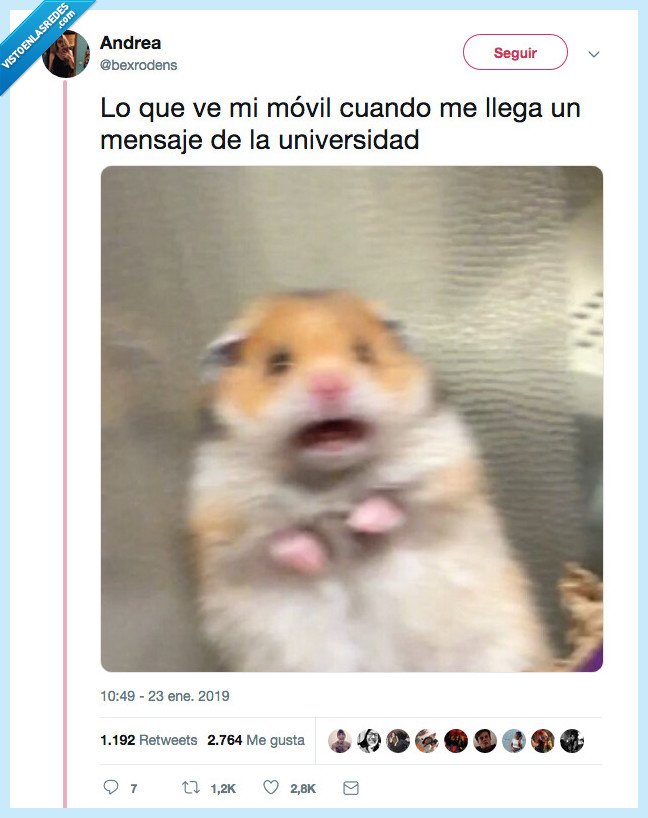 infarto,cerebral,universidad