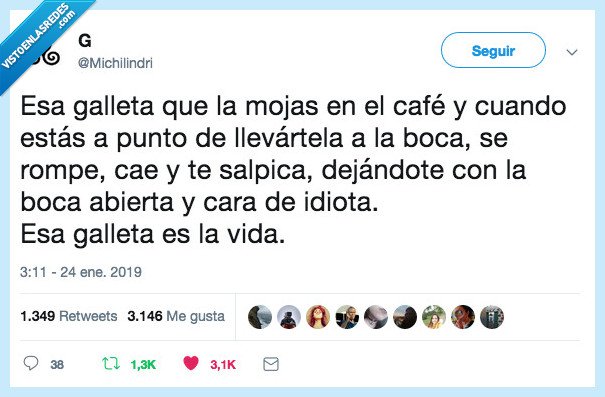 m&eacute;tafora,galleta,vida