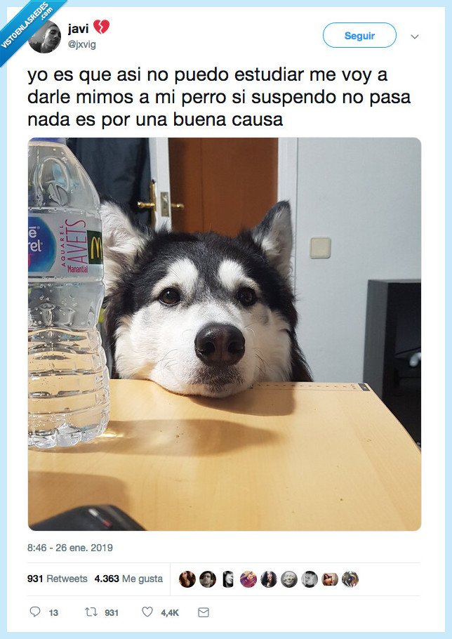 estudiar,responsabilidad,mimos