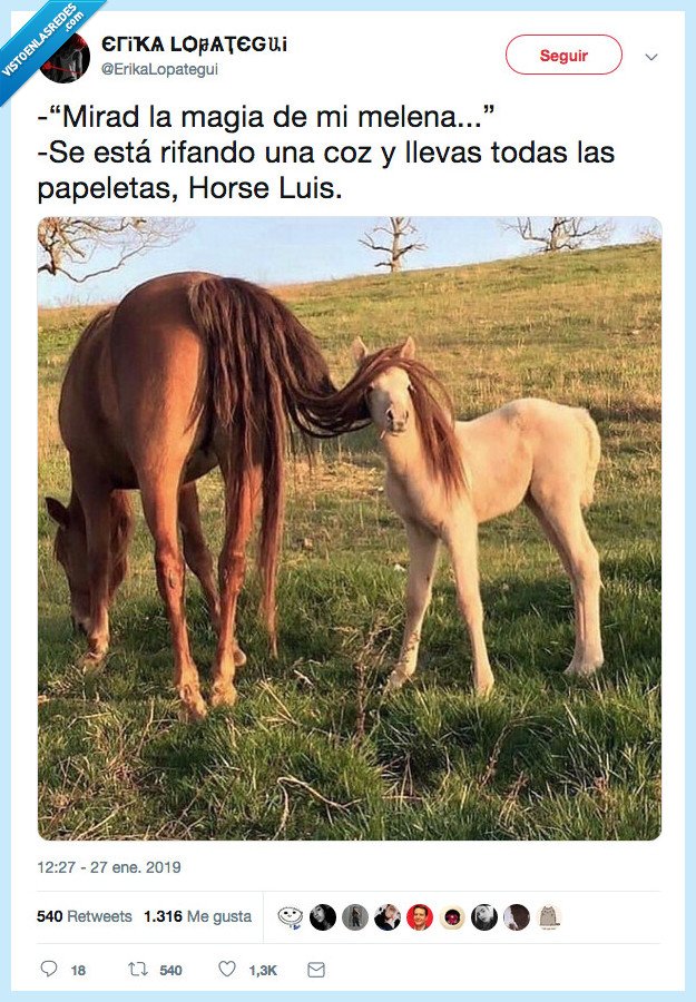 horseluis,ganar,hostia,melena