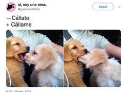 Enlace a ÑAM, por @quenormaltodo