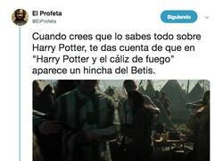 Enlace a El @realbetis mola tanto que sale hasta en Harry Potter, por @EiProfeta