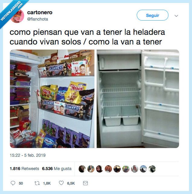 realidad,estudiantes,vivir,solos,tener