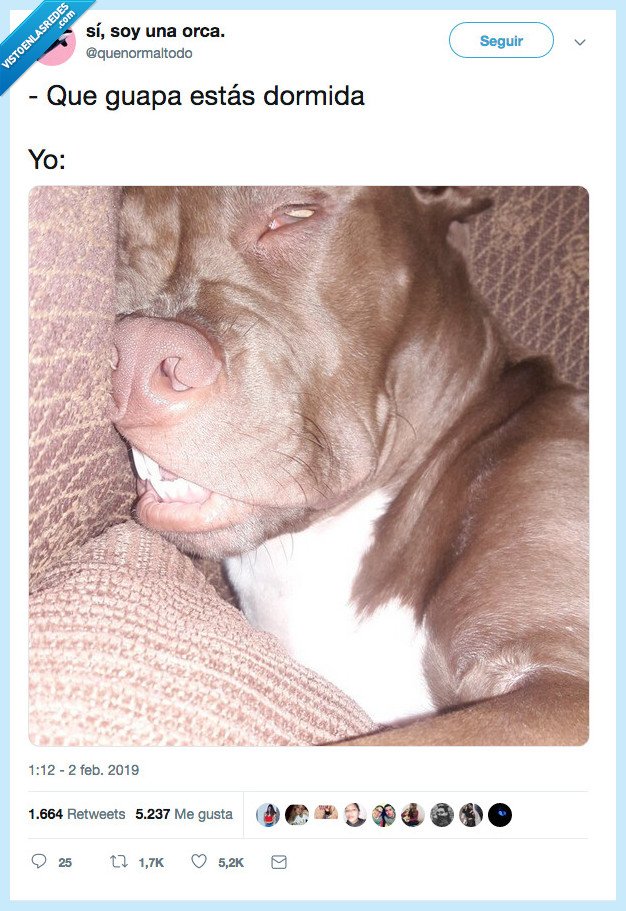 guapisima,que normal todo,dormir