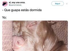 Enlace a Guapisima vamos, por @quenormaltodo
