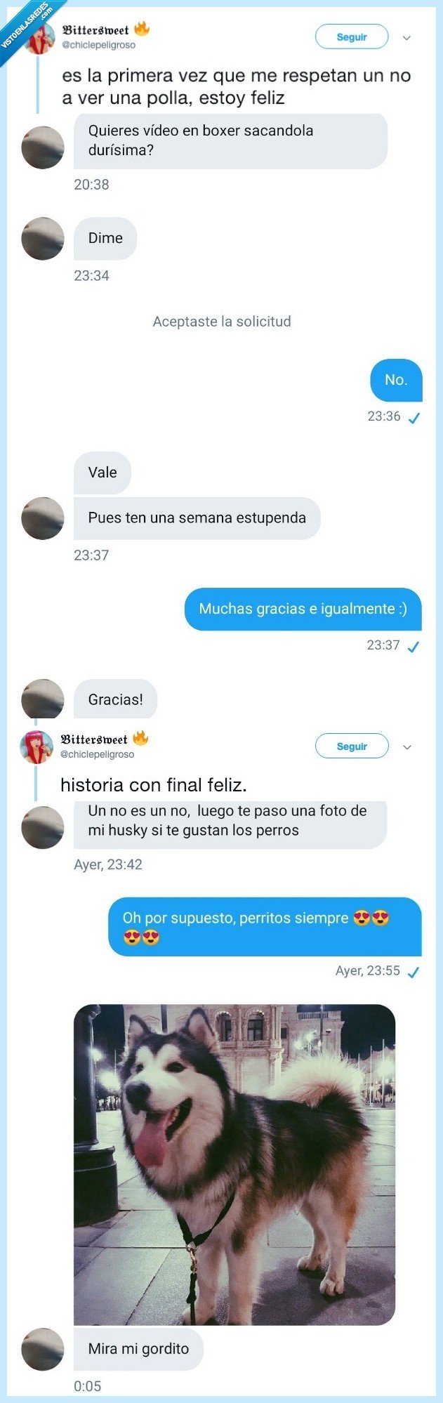 foto,feliz,perro,pedir,negar,no,boxer