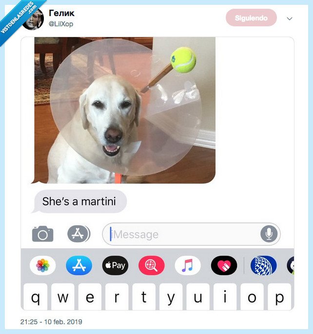 martini,bonito,ver,vida