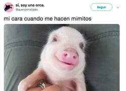 Enlace a Por favor que cosa más bonita, por @quenormaltodo