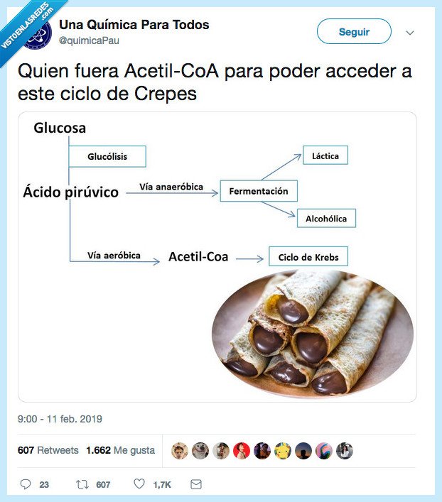 ciclo,crepes