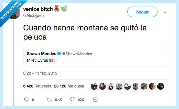 CHORPRECHA,hanna montana,peluca