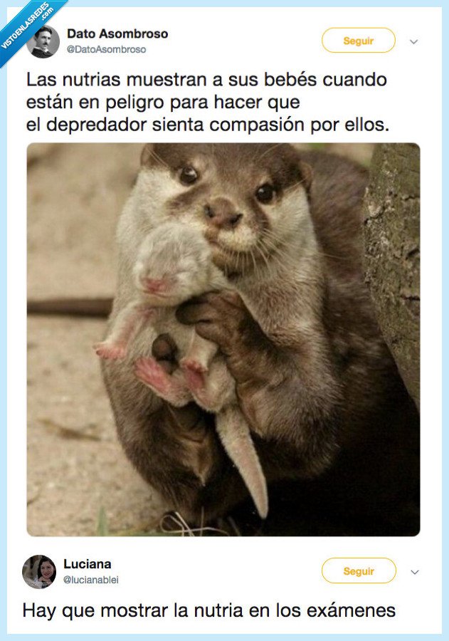 colar a ver,nutrua,examenes