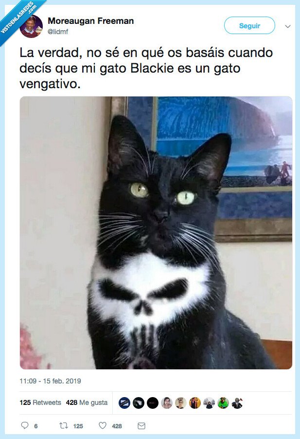 cara adorable,gato,el castigador