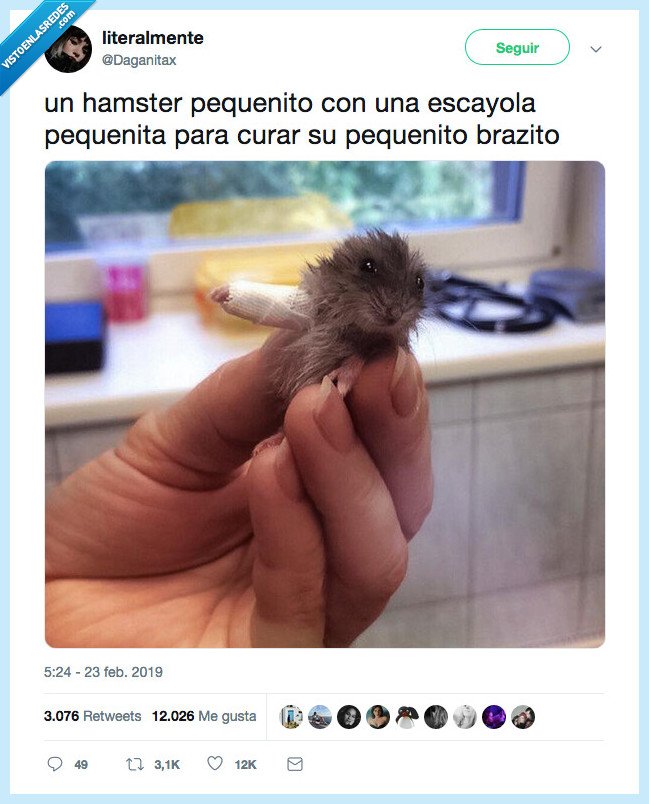 ternura,buscar,diccionario,foto