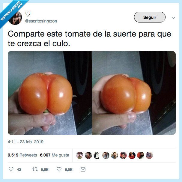 tomate,culete,yo