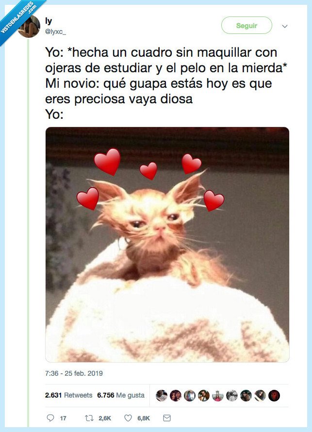 holipuli,cuadro,maquillar,ojeras,estudiar