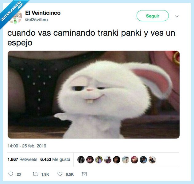 cristal,caminando,espejo