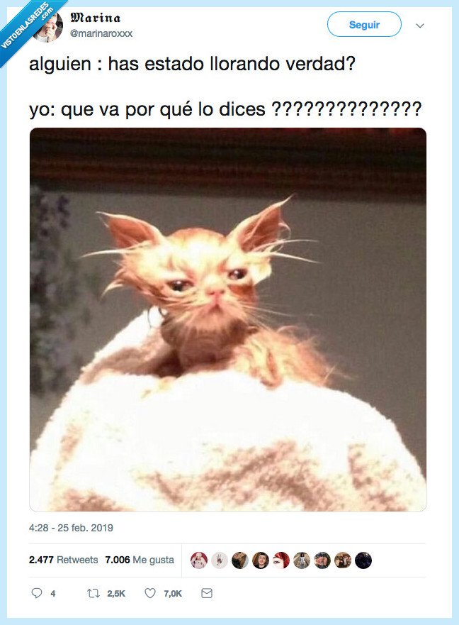 alergia,decir,llorar