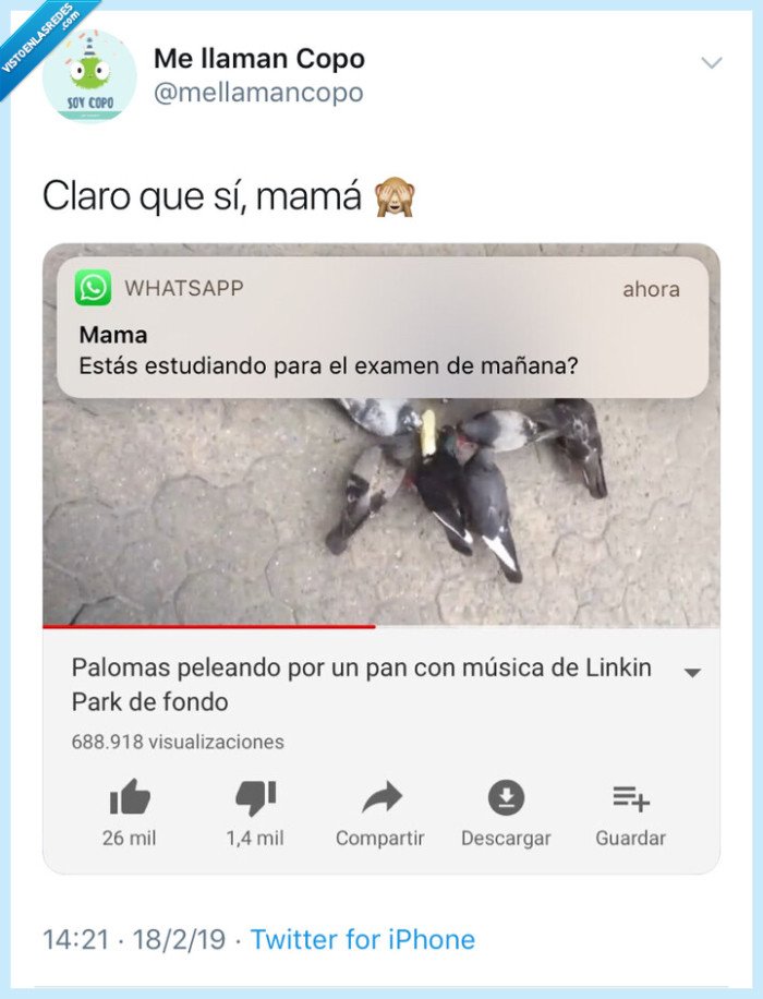 Mama,madres,estudiar,YouTube
