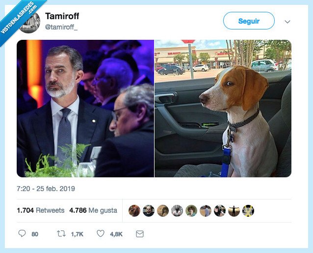 mirar,perri,rey,sospechar