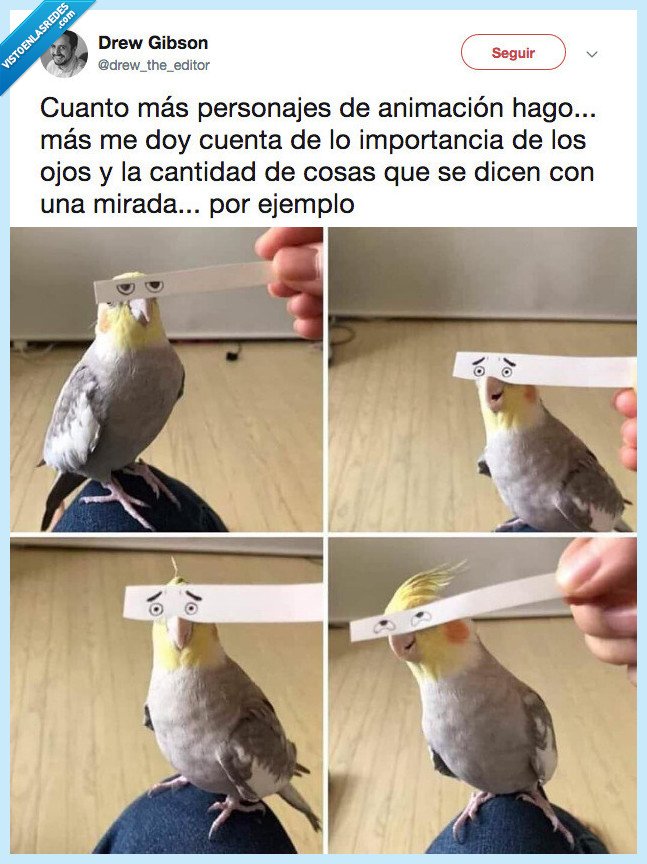 mirada,lo dice todo,ejemplo