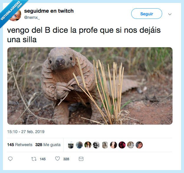 identificada,armadillo,b,silla