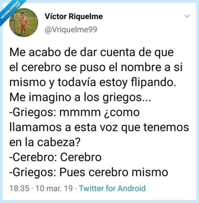 Cerebro,griego