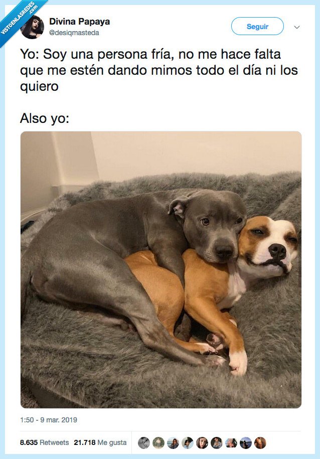 frio,perro,persona,no me sale