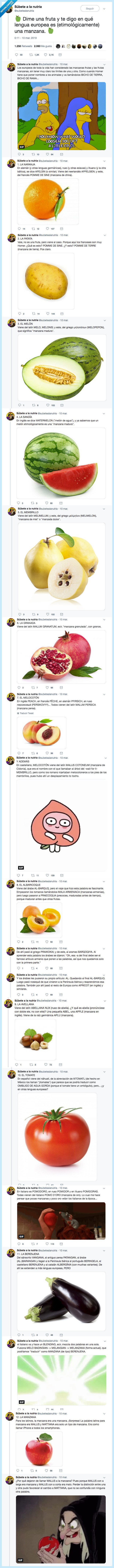 frutas,manzana,lengua europea