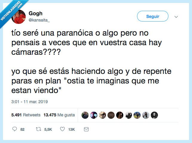 paranoia,camaras,ostia,ver