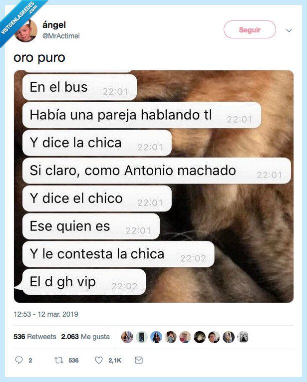 final,sorprnderá,chica,gh vip