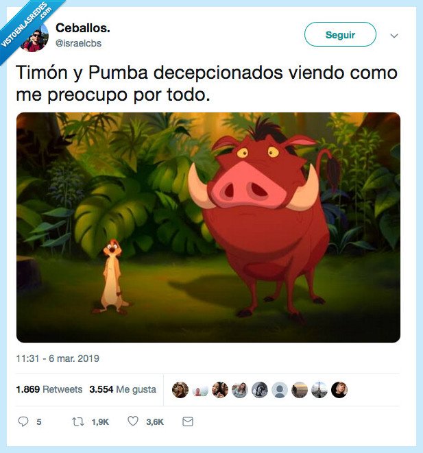 hakunamatata,timon y pumba,preocupar