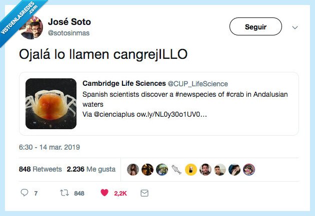 512366 - El cangrejillo el cangrejo más salao' de toda la mar, por @sotosinmas