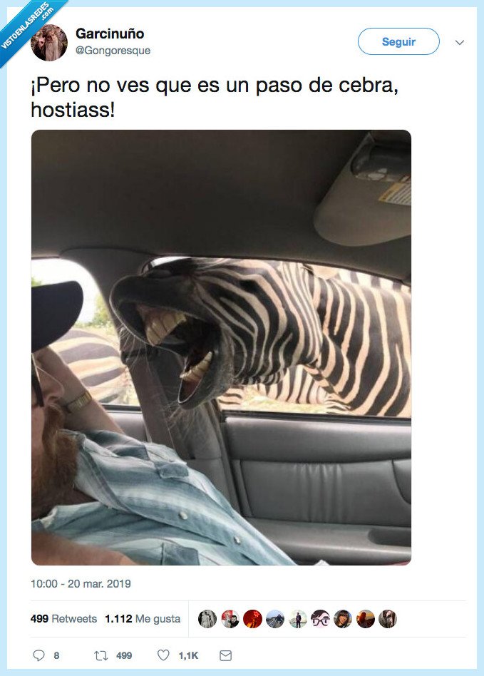 512863 - Y por esto hay que respetar los pasos de cebra, por @Gongoresque