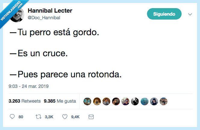 perro,gordo,rotonda