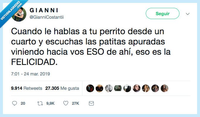 felicidad,que es,hablar perrito