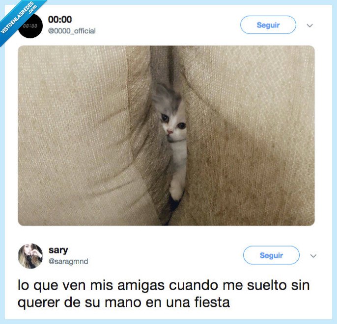 nunca mas,amigo,mano,fiesta