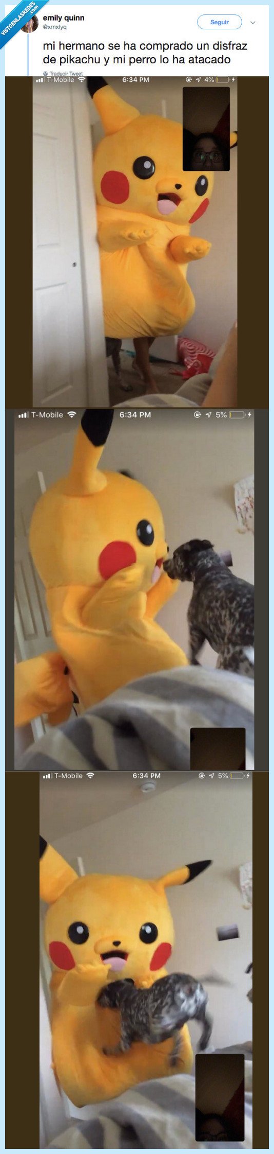 pukachu,perro,mordisco