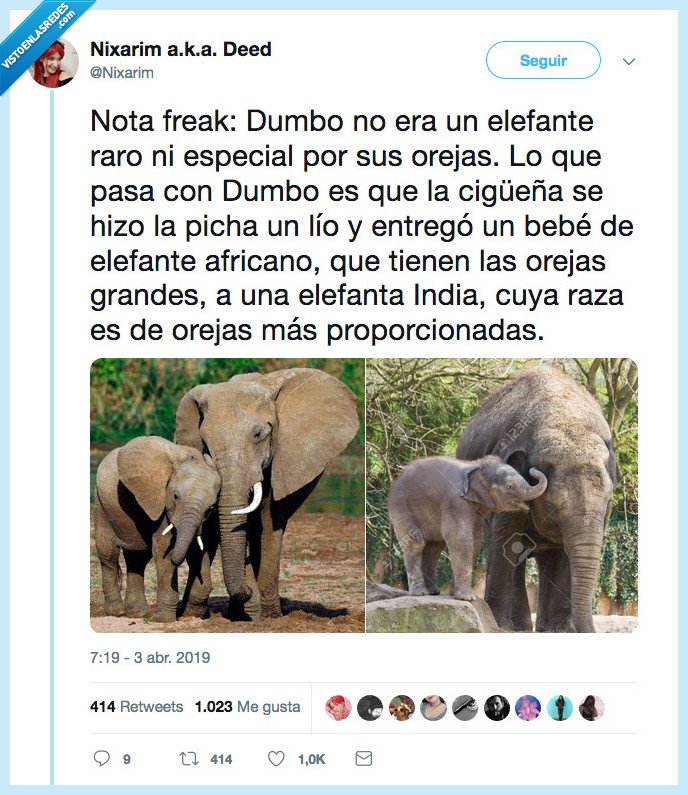 dumbo,cigüeña,culpa,holapandrisonelefantes
