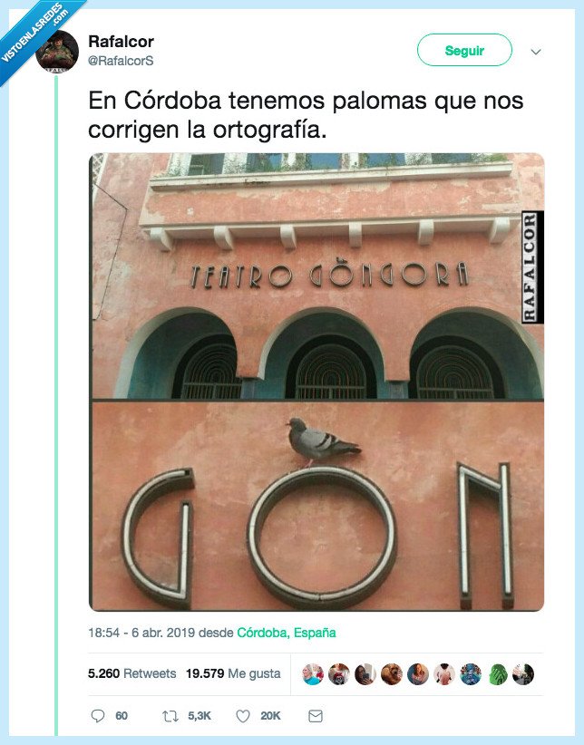 paloma,espiritu,santo,corregir