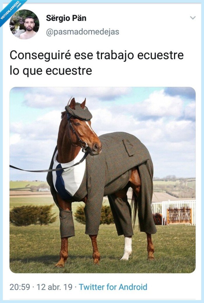 Humor,caballo,ecuestre,Twitter,trabajo
