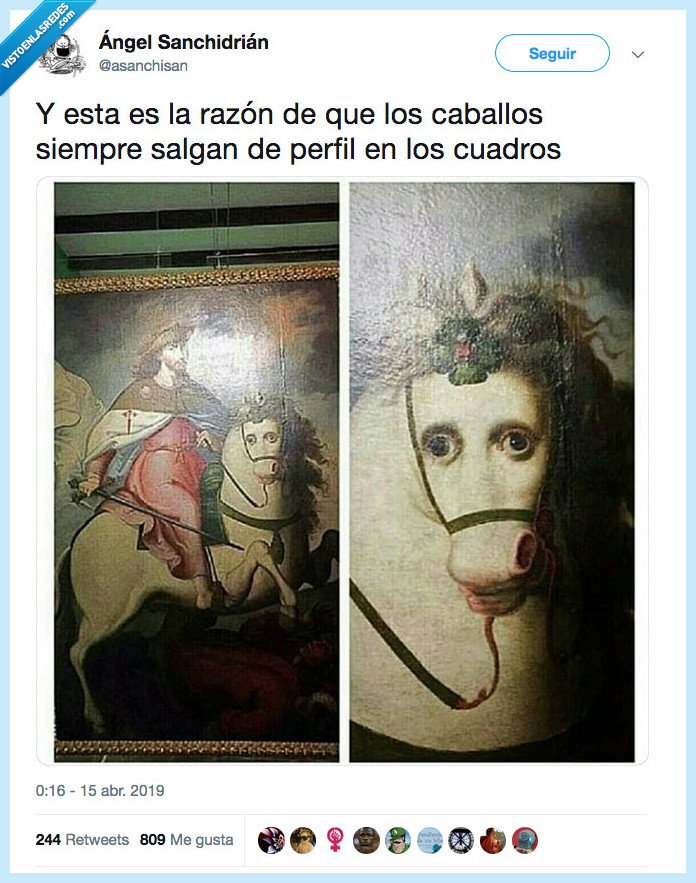 mejor,perfil,caballos