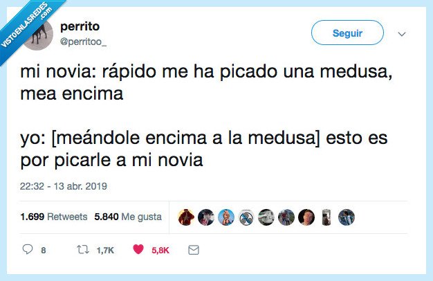 novia,rapido,picar,medusa,pipi